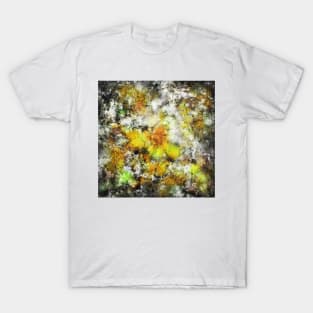 Winter sunlight T-Shirt